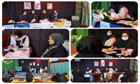 اجرای طرح شهید دکتر رهنمون در زینبیه حضرت رقیه (س) 