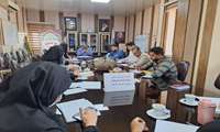 برگزاری کمیته درون بخشی پیشگیری از پوکی استخوان