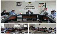 برگزاری جلسه کارگروه بهداشت و درمان (سلامت و امنیت غذایی) شهرستان ساوجبلاغ