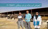  آموزش‌های بهداشتی در زمینه بیماری‌های زئونوز شامل هاری، مشمشه، تب برفکی و تب مالت در دامداری‌های ساوجبلاغ
