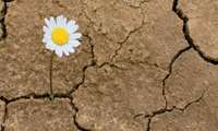  خودمراقبتی پس از بحران